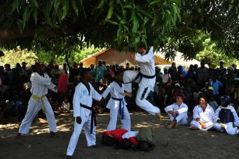 Festa ed esibizione di taekwondo – foto 19 di 20